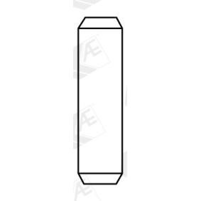 AE Klepgeleider VAG96119