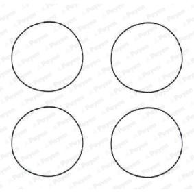 PAYEN O-Ring Set, cylinder sleeve HR564