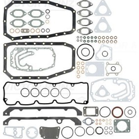 REINZ Tetnings helsett, motor 01-33951-10