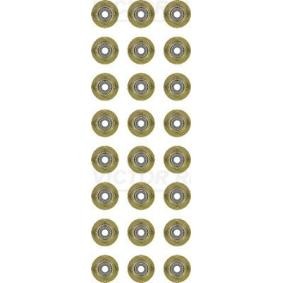 REINZ Dichtungssatz, Ventilschaft 12-38546-01