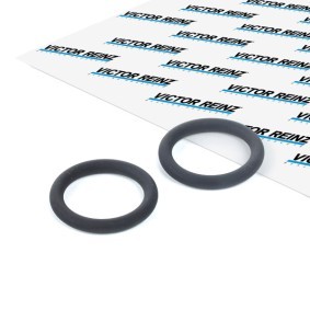 REINZ Tetning, innsugningsmanifold 40-76246-00
