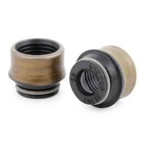 REINZ Klepseals 70-31306-00