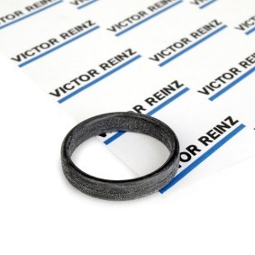 REINZ Tetning, innsugningsmanifold 71-31647-00