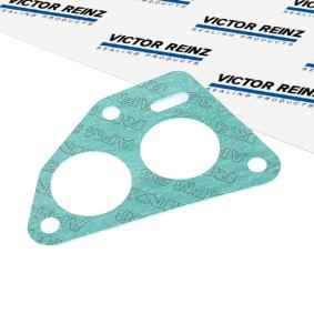 Pirkti REINZ Tarpiklis, įsiurbimo kolektorius 71-38817-00