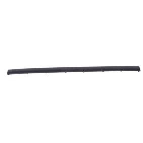 BLIC Bumper moulding 5513-00-0060970P
