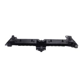 BLIC Ondersteuning, radiateurgrille 6502-07-0552996P