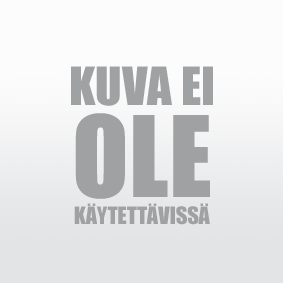 BLIC Suoja- / koristelista, jäähdyttimen säleikkö 6502-07-2556993P