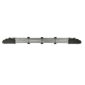 BLIC Grille de ventilation, pare-chocs 6502-07-2563995P