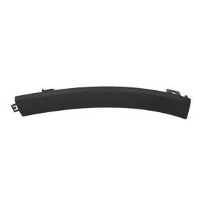 BLIC Bandeau pare-choc 6502-07-2957921P