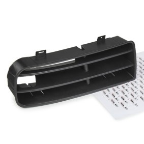 BLIC Ventilatiegrille, bumper 6502-07-9523999P