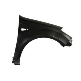 6504-04-1302312P aile BLIC Renault RAPID Kasten