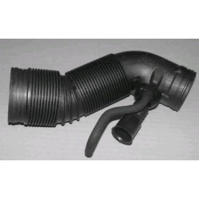 THERMOTEC Durite d'admission d'air DCW109TT