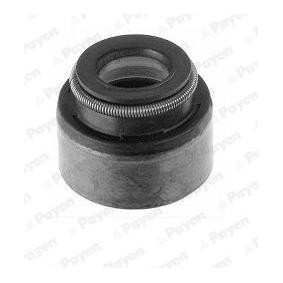 Spletna trgovina z PAYEN Tesnilni obroc, steblo ventila PA658