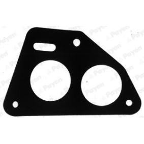 Pirkti PAYEN Tarpiklis, įsiurbimo kolektorius JD551