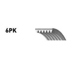 SNR Multiriem CA6PK2020