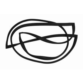 VAICO Tetning, frontrute V30-1975