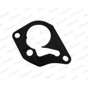 PAYEN Gasket, vacuum pump KK5643