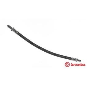 BREMBO Jarruletku T 71 003