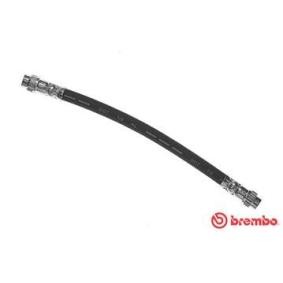 BREMBO Remslang T 56 147