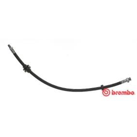 Купить BREMBO Тормозной шланг T 23 185