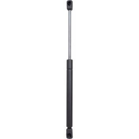 DIEDERICHS Heckklappendämpfer 9224700