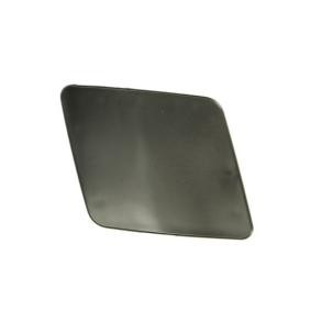 Купить BLIC Заслонка, буксирный крюк 5513-00-8155923P