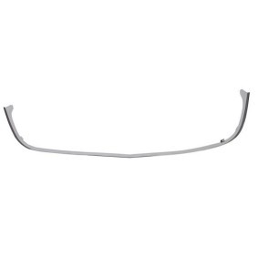BLIC Trim / Protective Strip, radiator grille 6502-07-5078992P
