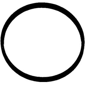 ELRING Pakning, indsugningsmanifoldhus 216.790