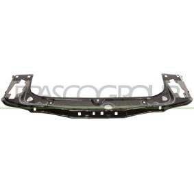 Costo pannellatura anteriore BMW Serie 1 PRASCO BM0283210