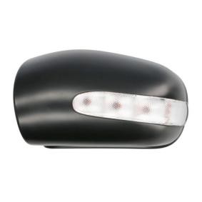 BLIC Boitier, rétroviseur extérieur 6103-01-1321532P