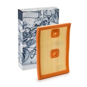 VAICO Luftfilter Länge: 269 mm, Filtereinsatz, Q+, Erstausrüsterqualität V10-3137