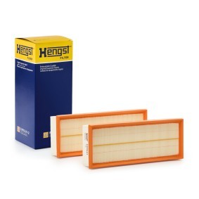 Купить HENGST FILTER Воздушный фильтр E455L01-2