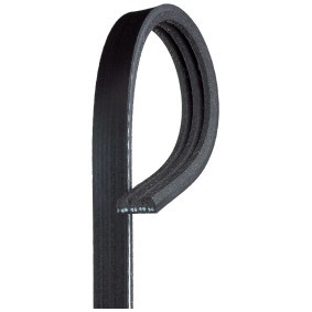 GATES Correa trapecial poli V 3PK905