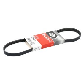 GATES Courroie Poly-V 4PK803