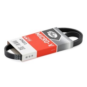 Spletna trgovina z GATES Rebrasti jermen 4PK813