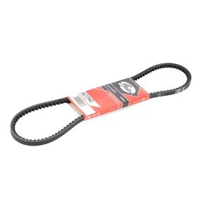 GATES V-riem 6217MC