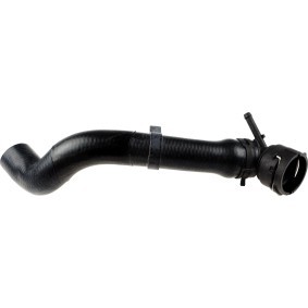 GATES Radiator hose 3969