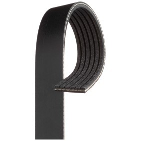 GATES Multiriem 6PK2020