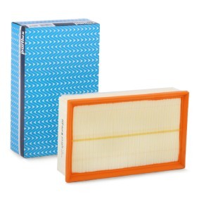 Купить PURFLUX Воздушный фильтр A1565