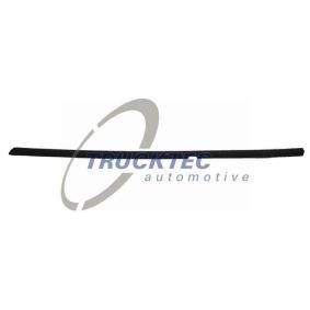 TRUCKTEC AUTOMOTIVE Trim / Protective strip, door window 02.54.019