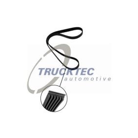 TRUCKTEC AUTOMOTIVE Multiriem 08.19.078