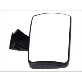 PACOL Ramp Mirror MAN-MR-012