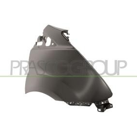 оригинальные Ford B-MAX PRASCO Крыло FD9143003