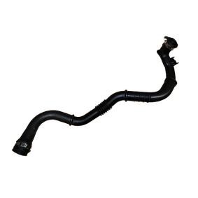 BUGIAD Tubo flexible de aire de sobrealimentación 88760