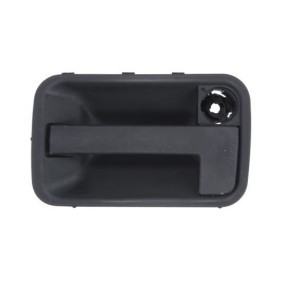 BLIC Door Handle 6010-08-002402P
