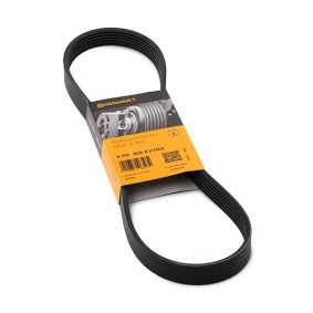 CONTITECH Keilrippenriemen 905mm, 6, für Fahrzeuge mit Klimaanlage 6PK905 EXTRA