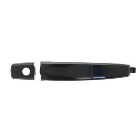 BLIC Manecilla de puerta 6010-56-005405P