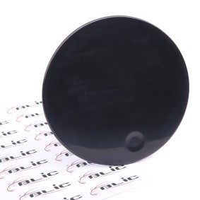 BLIC Dobradiça, tampa do depósito 6508-02-2565510P