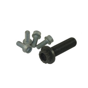 CORTECO Set schroeven voor riemschijf-nokkenas 80005272