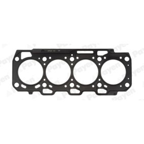 PAYEN Toppakning AH6880